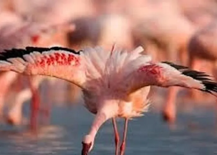 Κάμπινγκ Confort Avec Acces Direct A La